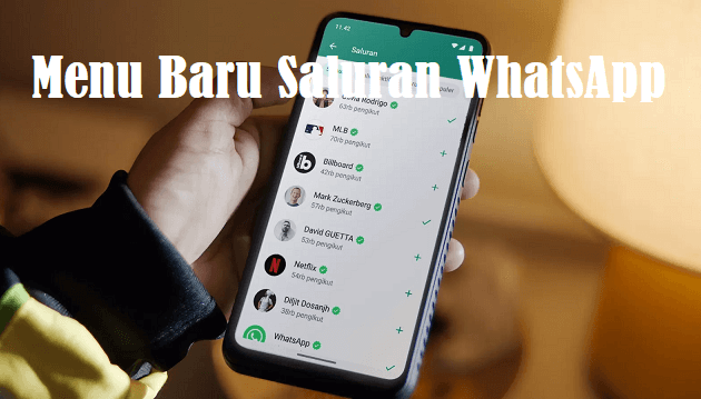 Menu Baru Saluran WhatsApp