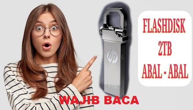 ciri-ciri flashdisk palsu