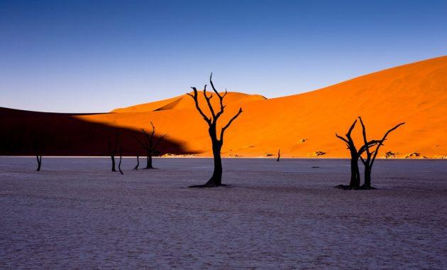 desert
