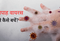निपाह वायरस: लक्षण, प्रकोप, और बचाव के उपाय